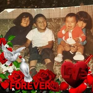 Meet your Posher, Sylvia